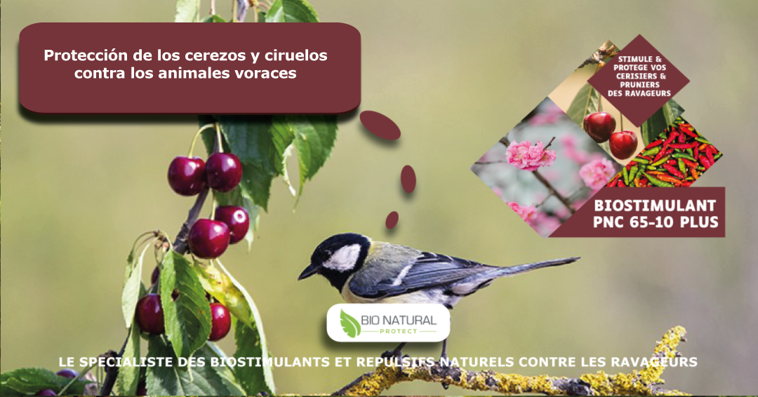 Biostimulant a effet répulsif PNC 65-10 PLUS cerisiers et pruniers